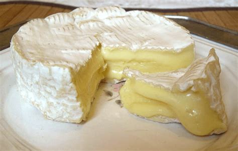 How To Make Camembert Cheese At Home | Curd Nerd