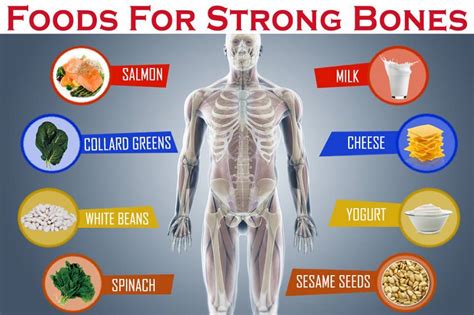 Foods for Strong Bones