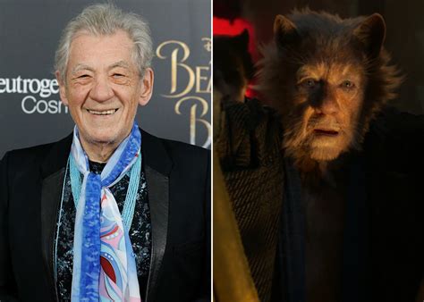 Cats Movie Cast Side by Side With Their Characters | POPSUGAR Entertainment