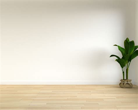 7 Flooring Options for a Sleek Harmony with White Walls - roomdsign.com