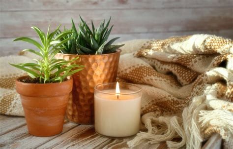 13 Best Soy Candles from Brands Getting it Right in 2022 – Wishlisted.com