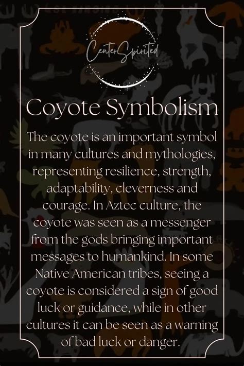 Coyote Symbolism - What Does It Mean When You See A Coyote?