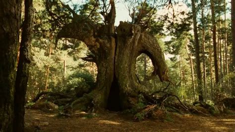 Pan's Labyrinth Ending Explained & Film Analysis – Blimey