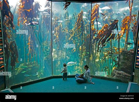 south africa cape town waterfront aquarium Stock Photo - Alamy