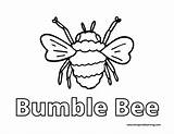 Free Printable Honey Bee Coloring Pages sketch template