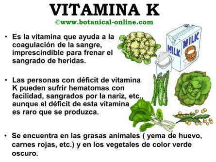 Pin de m en Cosas en 2020 | Vitamina k, Vitamina e, Alimentos con ...