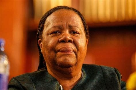 Naledi Pandor: Five things to know about the Higher Education Minister