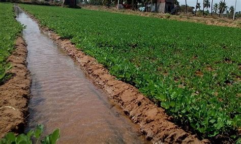 Importance and Types of Surface Irrigation System - Agrovista-Farming