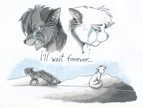 Jayfeather x Half moon - i'll wait forever by Klaracrystalpaws on ...