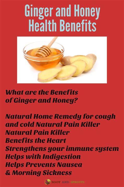 Ginger and Honey Health Benefits | Ginger benefits, Honey health benefits, Healthy benefits