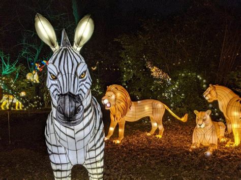 Bronx Zoo Holiday Lights Display – District Council 37