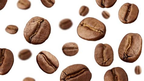 coffee beans falling down on white Stock Footage Video (100% Royalty-free) 8791561 | Shutterstock