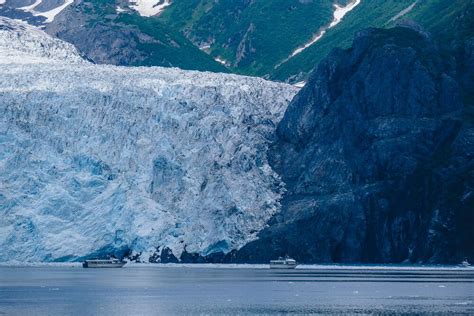 The Best Kenai Fjords Wildlife Cruise - Musings of a Rover