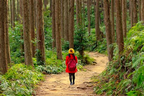 Japan's 10 most popular hiking trails - A hiking trip to enjoy the ...