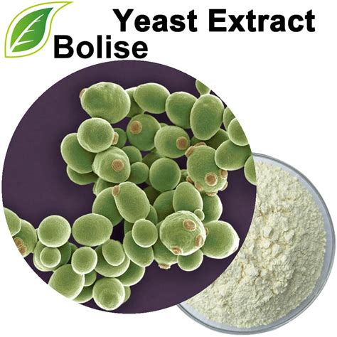 Yeast Extract Suppliers,Manufacturers from Bolise