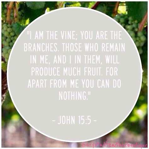 john 15 5 - i am the vine you are the branches those who remain in me and in them will produce ...