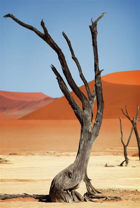 Namibia, Sossusvlei - Dietmar Temps, photography