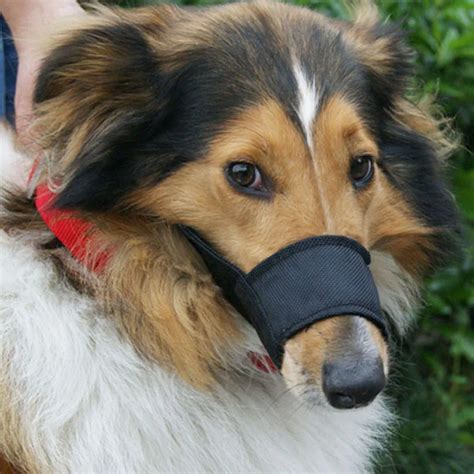 Soft Adjustable Black Pet Dog Grooming Muzzle Mask Grooming Nylon No Bark Biting Anti Bark Bite ...