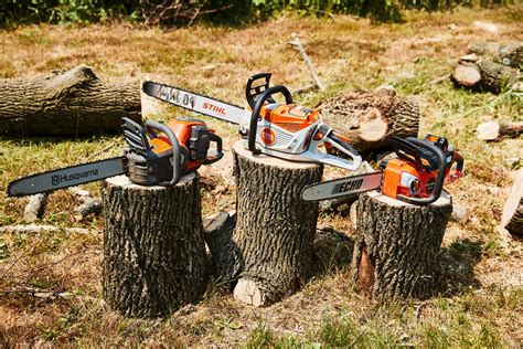 Choosing the Right Cutting Depth for Cordless Chainsaws in Tree Care ...