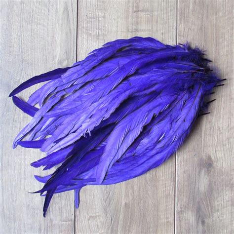 Bright Purple Rooster Tail Feathers 14-16