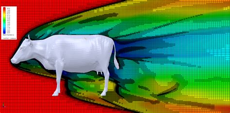 Aerodynamics of cow | Aerodynamics of an Elephant | Know Your Meme