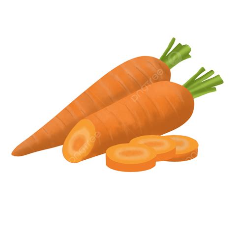 Watercolor Realistic Carrots Vegetable With Cut In Half Sliced Element Illustration, Watercolor ...