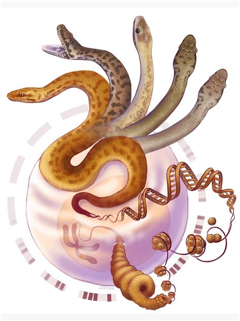 "Childrens Python Morphs" Art Print by Archaleo | Redbubble