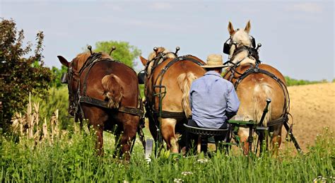 Amish Country Attractions | Area Guide | Things to Do in Berlin, Ohio