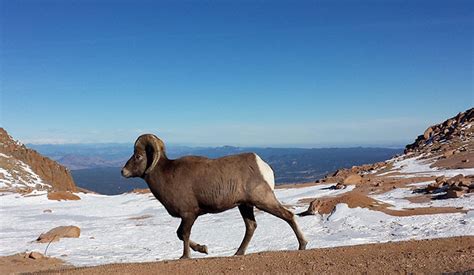 Instagram-Worthy Colorado Views - Mountain Living