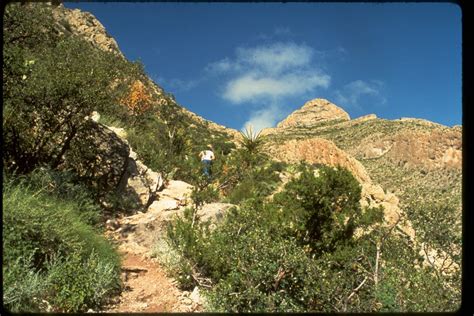 3 Best Day Hikes in Carlsbad Caverns National Park - Trailhead Traveler