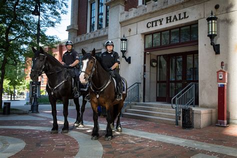 Getting to know Manchester's Mounted Police team