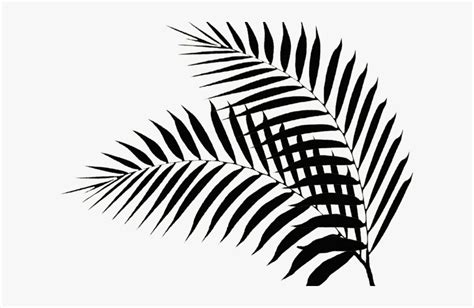 Drawn Palm Tree Palm Fronds - Palm Leaf Silhouette Png, Transparent Png ...