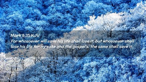 Mark 8:35 KJV Desktop Wallpaper - For whosoever will save his life shall lose it;