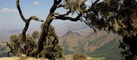 Ethiopia Simien Mountains | Simien National Park Ethiopia