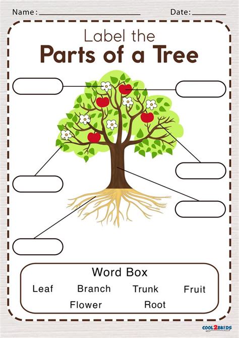 Parts of a Tree Worksheet | Cool2bKids | Kindergarten worksheets ...