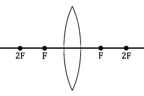 11 Diverging Lens Ray Diagram Worksheet / worksheeto.com