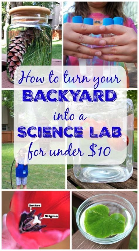 20 Outdoor Science Experiments | Backyard Science Activities | Science ...