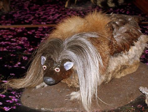 Wild Haggis | This is a left legged haggis, allowing the ani… | Flickr