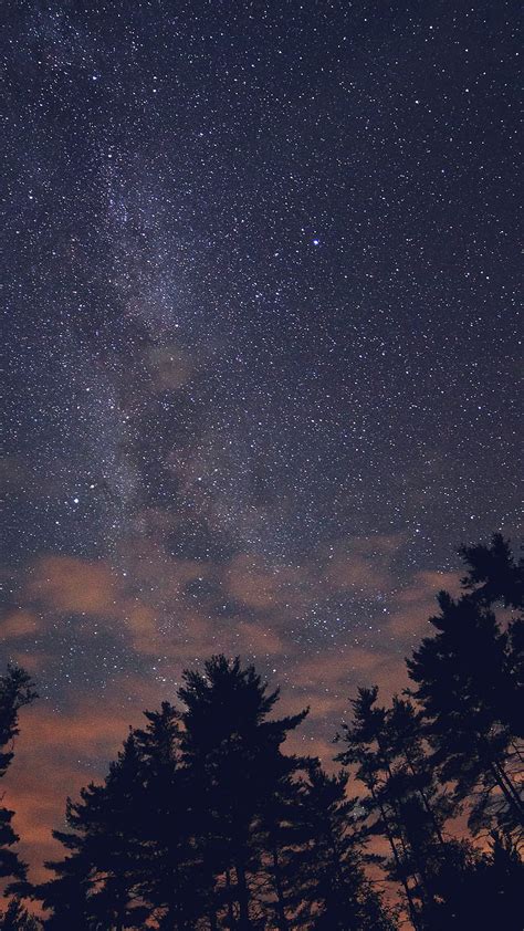 Noche estrellada, estética, noche estética, cielo nocturno, noche ...