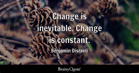 Quote About Change Being Constant - Wise Quote Of Life