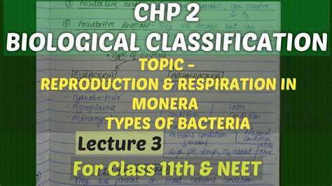 REPRODUCTION & RESPIRATION in Monera | TYPE of Bacteria | @biologyinsights-firozsamani930 - YouTube