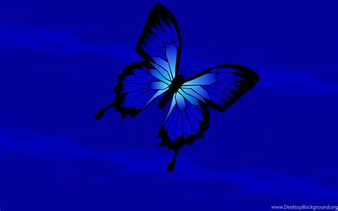 Butterfly Wallpapers Hd: Blue Butterfly Wallpapers Desktop Background