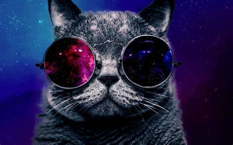 Glasses Cat Galaxy Wallpapers - Top Free Glasses Cat Galaxy Backgrounds - WallpaperAccess