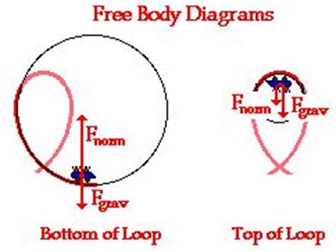 Amusement Park Physics | Physics classroom, Physics, Body diagram