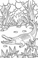 alligator coloring pages For Toddlers sketch template