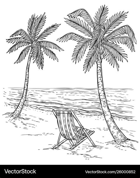 Sketch palm tree landscape tropical palm beach Vector Image