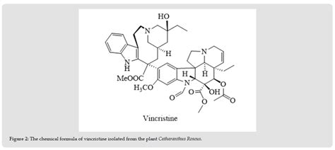 Synthesis of Bicyclic Pyrrolidine Derivatives and their ...