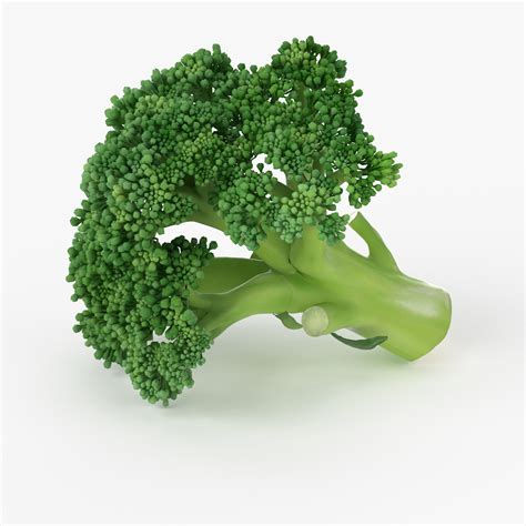 3d realistic broccoli real model