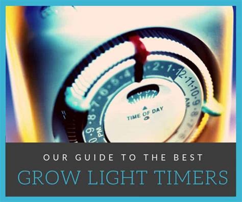 The Best Timer for Grow Lights - 6 Top Choices - Best LED Grow Lights Info