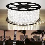 LE® 150ft 110-120V AC LED Rope Lights Kit, 6000K Daylight White, Waterproof IP65, Accessories ...